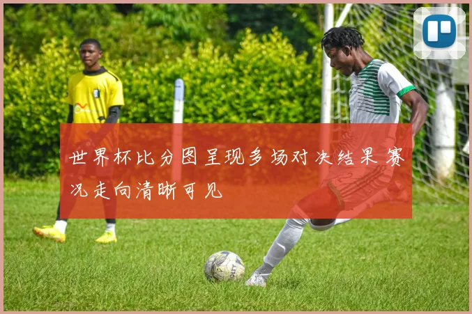 世界杯比分图呈现多场对决结果 赛况走向清晰可见