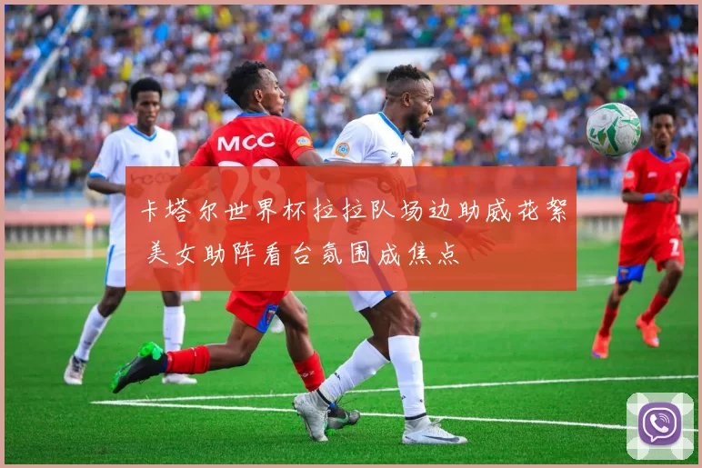 卡塔尔世界杯拉拉队场边助威花絮 美女助阵看台氛围成焦点