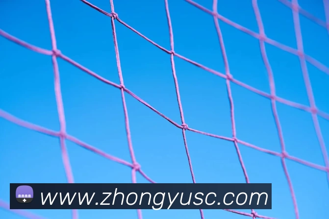 App Interface Preview